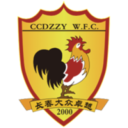 武汉车谷江大女足